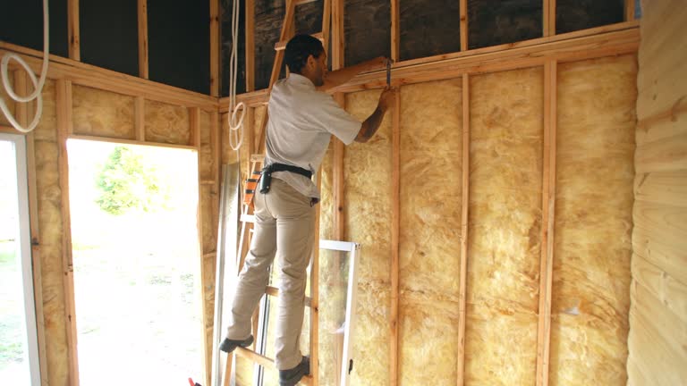 Best Blown-In Insulation  in Piketon, OH